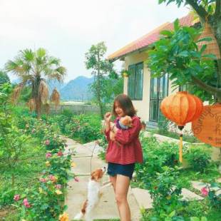 Фотографии мини отеля 
            Sunny Trang An homestay