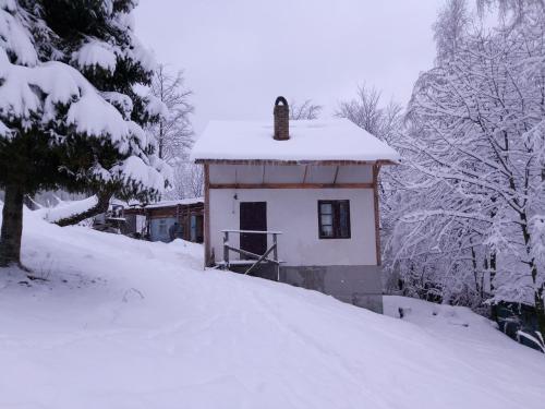 Фотография гостевого дома Дом, 339