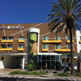 Фотографии гостиницы 
            Hotel Indigo Anaheim, an IHG Hotel