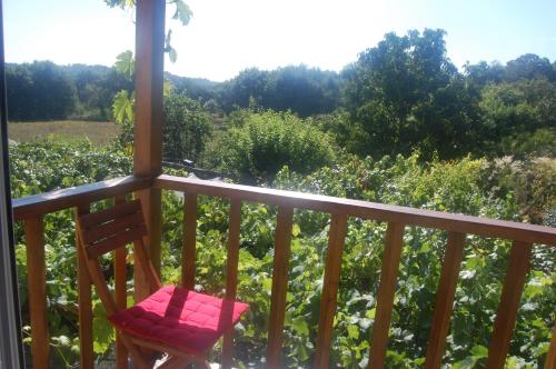 Фотография гостевого дома Casa de las Flores