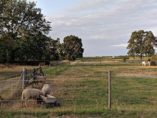 Фотография мини отеля De Lakenvelder B&B Eersel