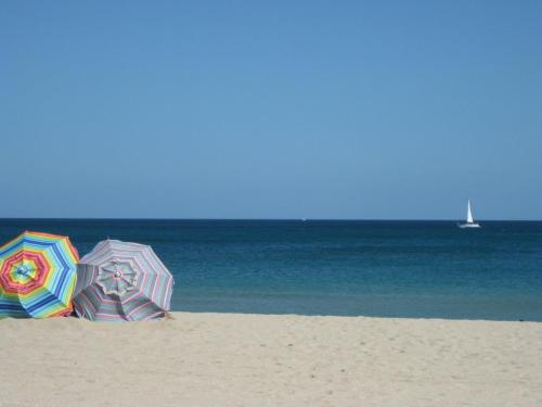 Фотография гостиницы Hampton Inn & Suites Boynton Beach