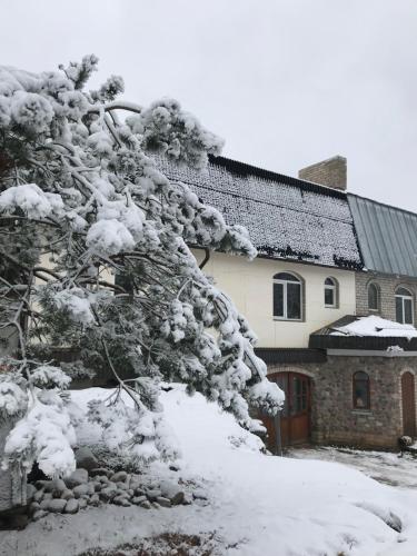 Фотография гостевого дома Mary