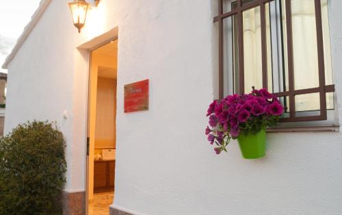 Фотография гостевого дома La Miranda