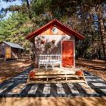 Фотография гостевого дома Cabañitas del Bosque