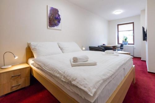 Фотография гостиницы Hotel Ungar