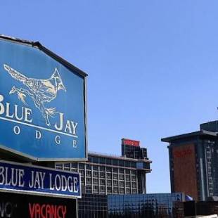 Фотографии гостиницы 
            Blue Jay Lodge