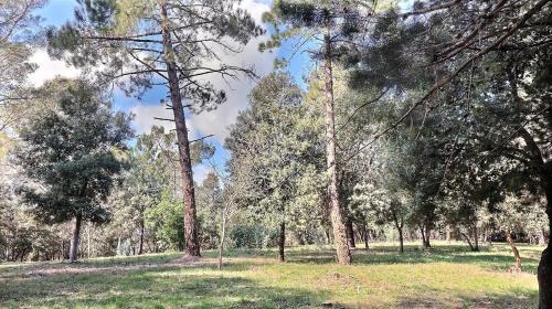 Фотографии гостевого дома 
            Au Milieu des Arbres