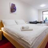 Фотография гостиницы Hotel Ungar