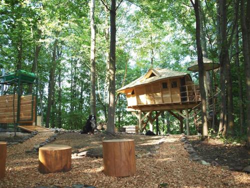 Фотография базы отдыха Treehouses Sněžník