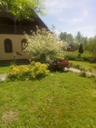 Фотография гостевого дома Кубань Актив Тур