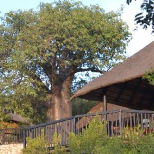 Фотографии базы отдыха 
            Adansonia Eco Lodge