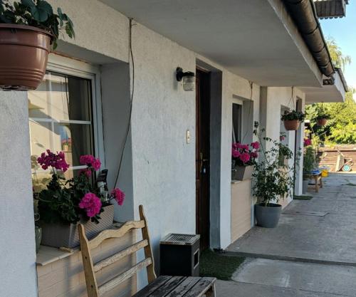 Фотография мини отеля Pokoje Przy Warszawskiej