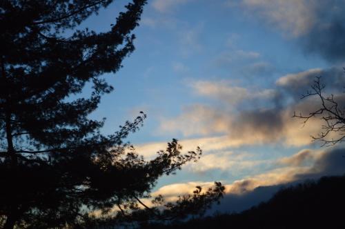 Фотография мини отеля B&B Cascina Bedria