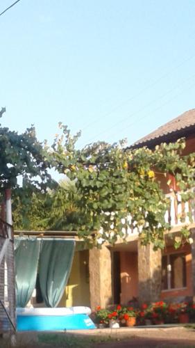 Фотография гостевого дома Новая волна