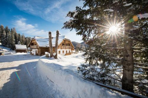 Фотография гостиницы Ludlalm