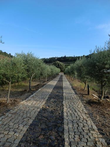 Фотография базы отдыха Quinta das Aveleiras