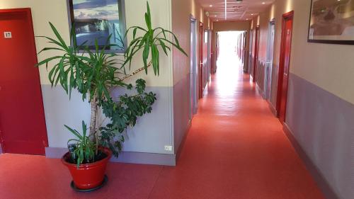 Фотография гостиницы Le Cormoran