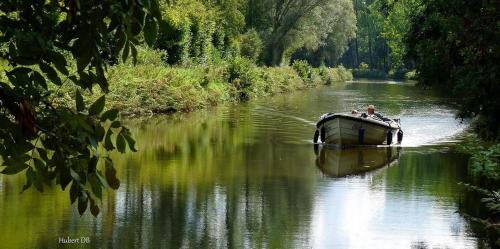 Фотография мини отеля Chillann