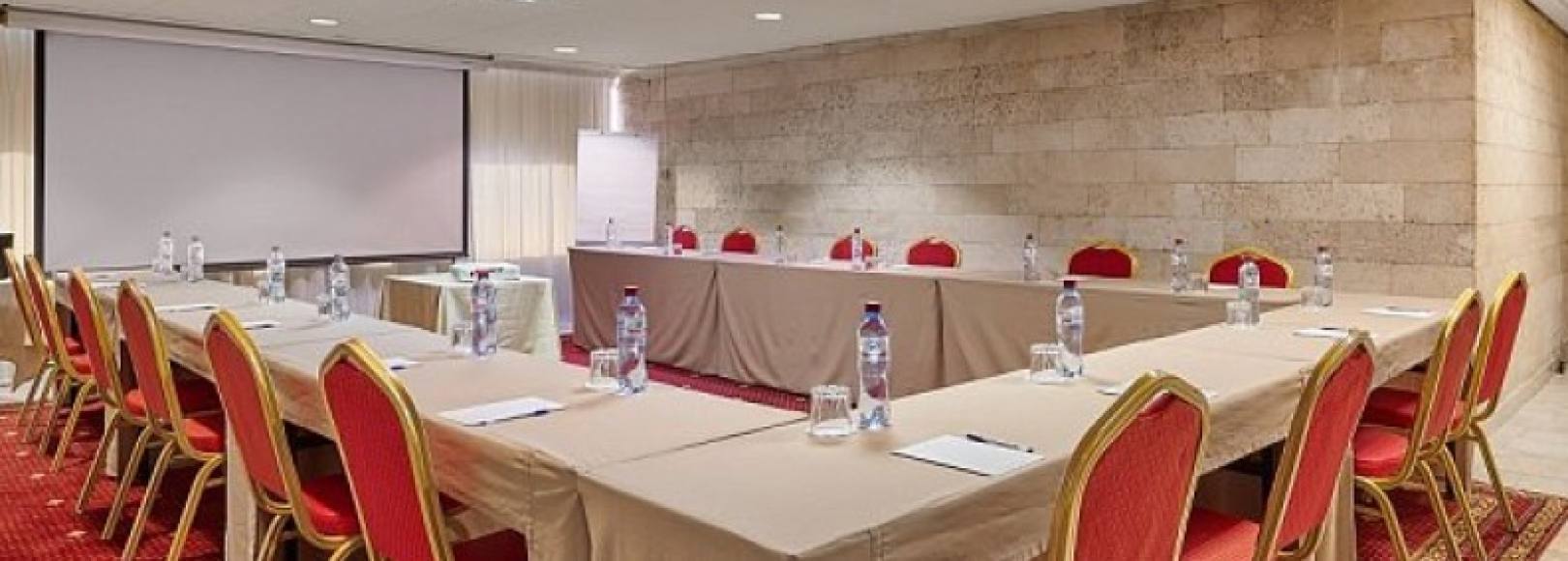 Фотография конференц-зала Царицыно