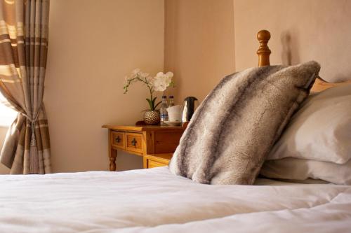 Фотография гостиницы The Lazy Pug