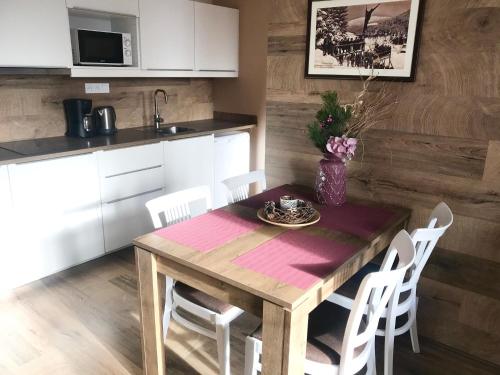 Фотография апарт отеля Apartmány Gryf Harrachov