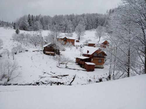 Фотография гостевого дома Буковый лес