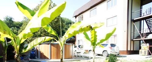 Фотография мини отеля СанМарин