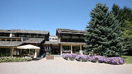 Фотография гостиницы Palace Hotel Wellness & Beauty