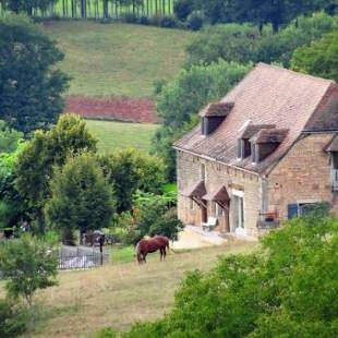 Фотографии мини отеля 
            Le Domaine du Cerneau