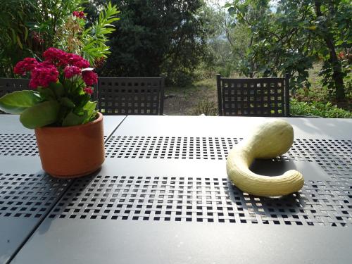 Фотография мини отеля Ca Du Ventu