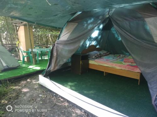 Фотография кемпинга Медвежий угол