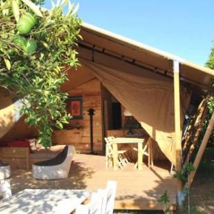 Фотографии базы отдыха 
            Campo Portakal Eco Glamping