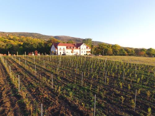 Фотография гостиницы Borhotel Sziluett Farkasmály