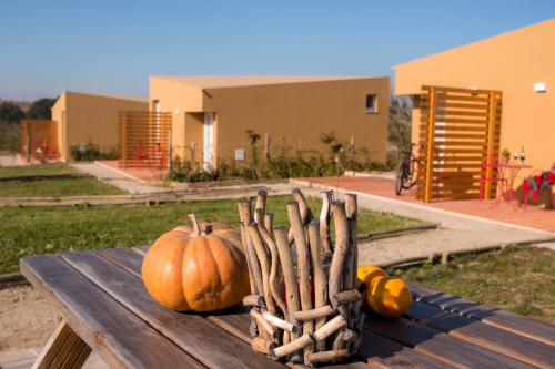 Фотография базы отдыха Entre Vinhas e Mar