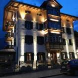 Фотография гостиницы Hotel Villa Alpina ***S