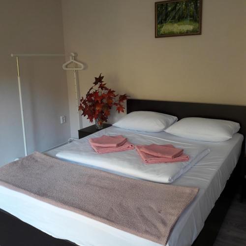 Фотография гостевого дома Горный Хутор