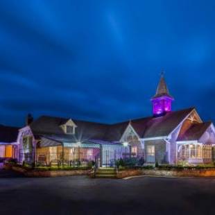 Фотографии гостиницы 
            Treacys Oakwood Hotel