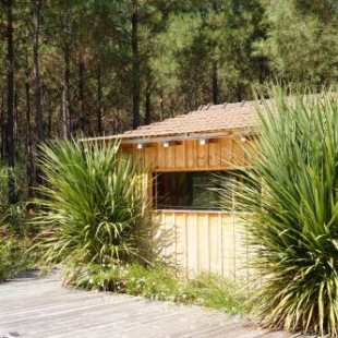 Фотография гостевого дома Immersion Forêt Cabane bois Lège Cap Ferret 1-4p