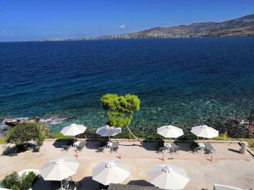 Фотография гостевого дома Perdika Mare Guesthouse