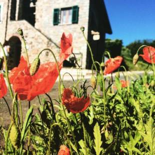 Фотографии мини отеля 
            Agriturismo Angiò nel Cerè