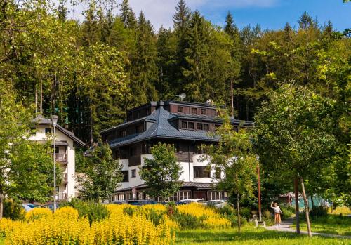 Фотография гостиницы Hotel Soyka