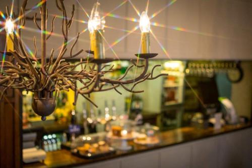 Фотография гостиницы The Bear Hotel