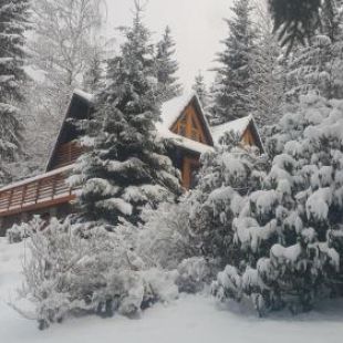 Фотография гостевого дома Chalet Bellevue Rogla