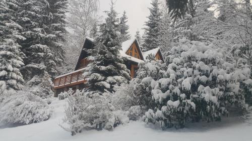 Фотографии гостевого дома 
            Chalet Bellevue Rogla