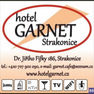 Фотография гостиницы Hotel Garnet