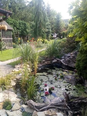 Фотография гостевого дома Agroturystyka u Agaty