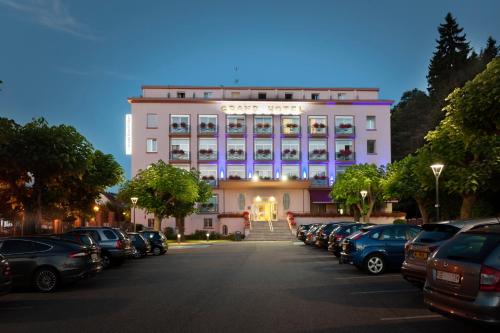 Фотография гостиницы Grand Hotel Filippo