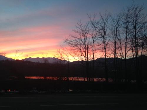 Фотография гостевого дома Il Gatto e La Volpe