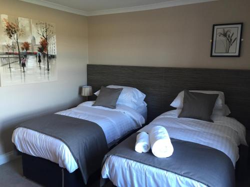 Фотография мини отеля Three Horseshoes Inn